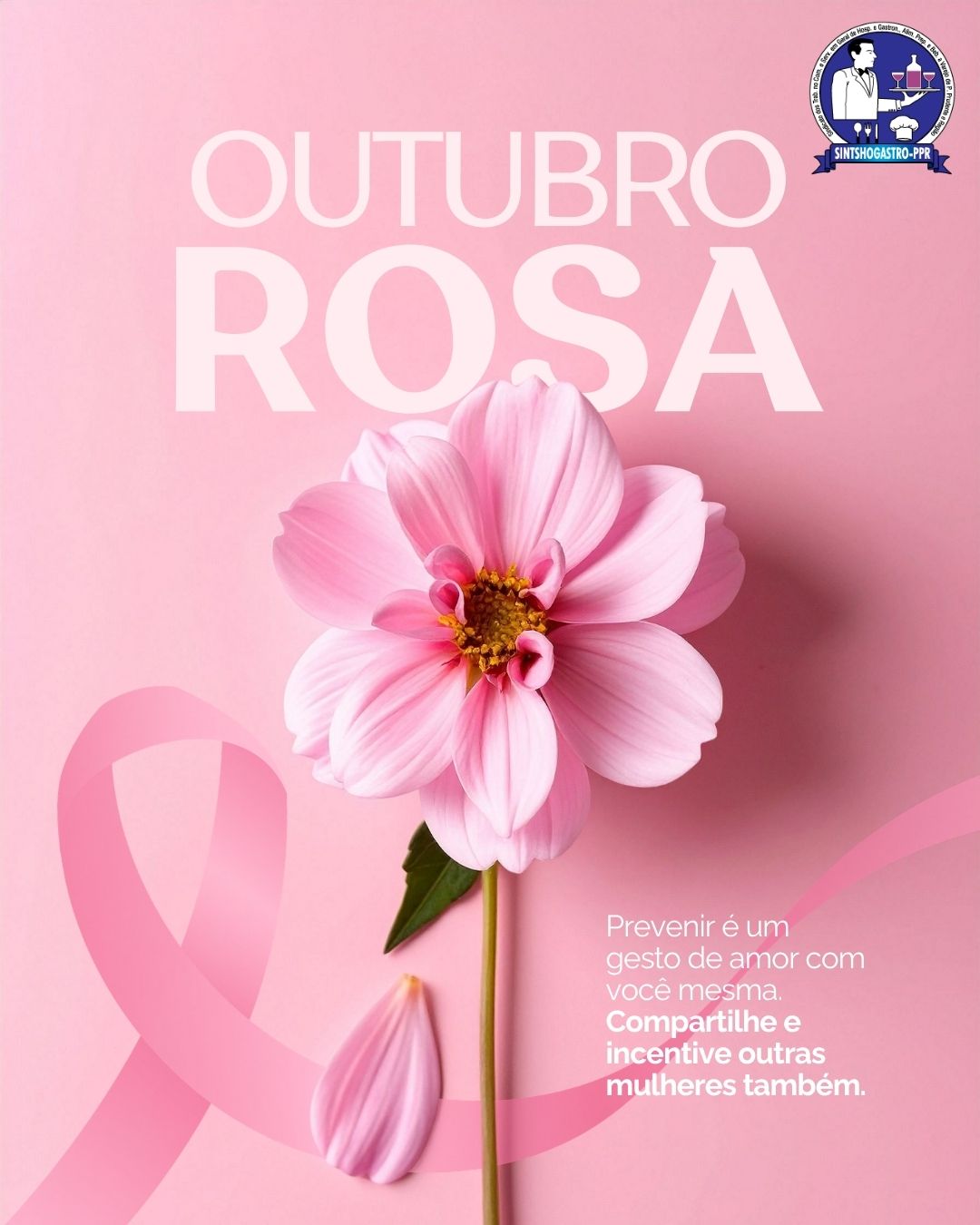 OUTUBRO ROSA
